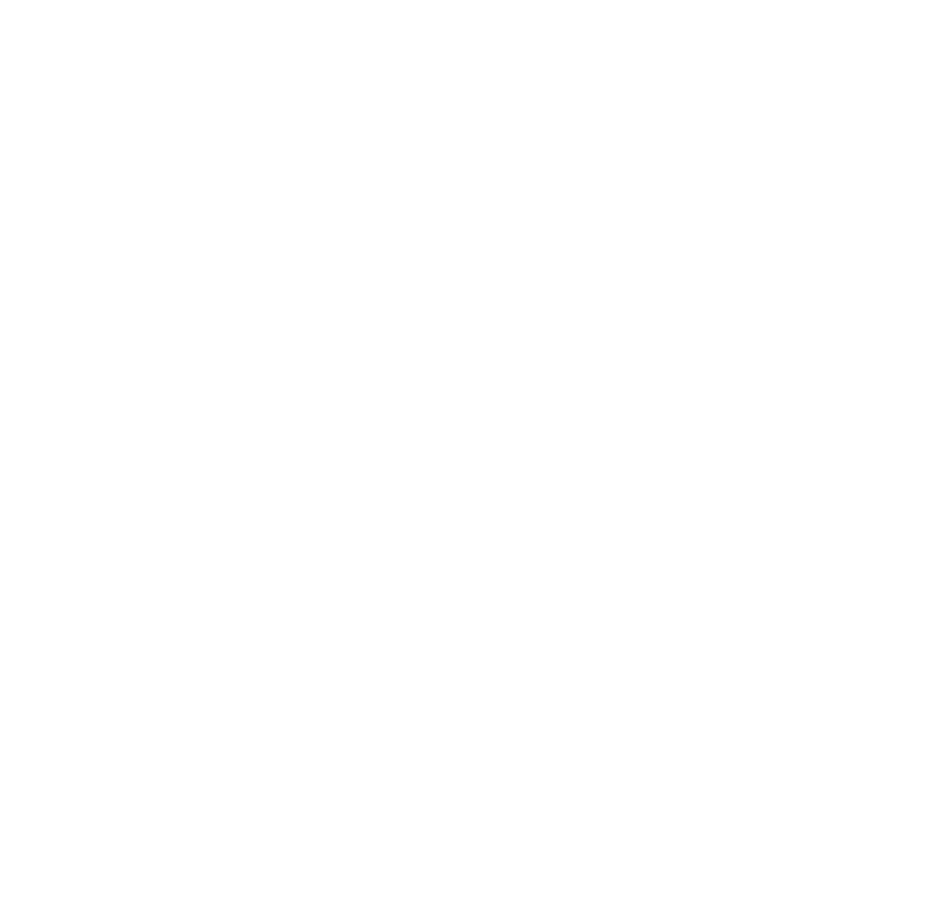 Brain anatomy showing regions affected by cerebral palsy