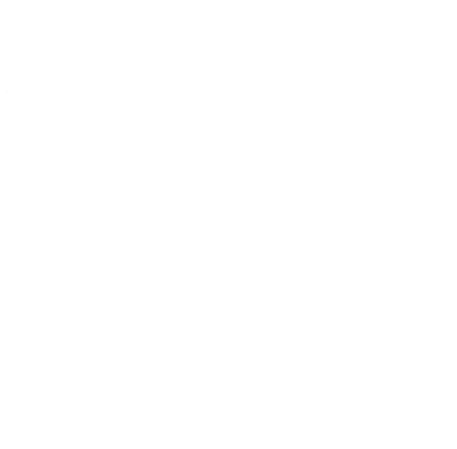 Brain anatomy visualization