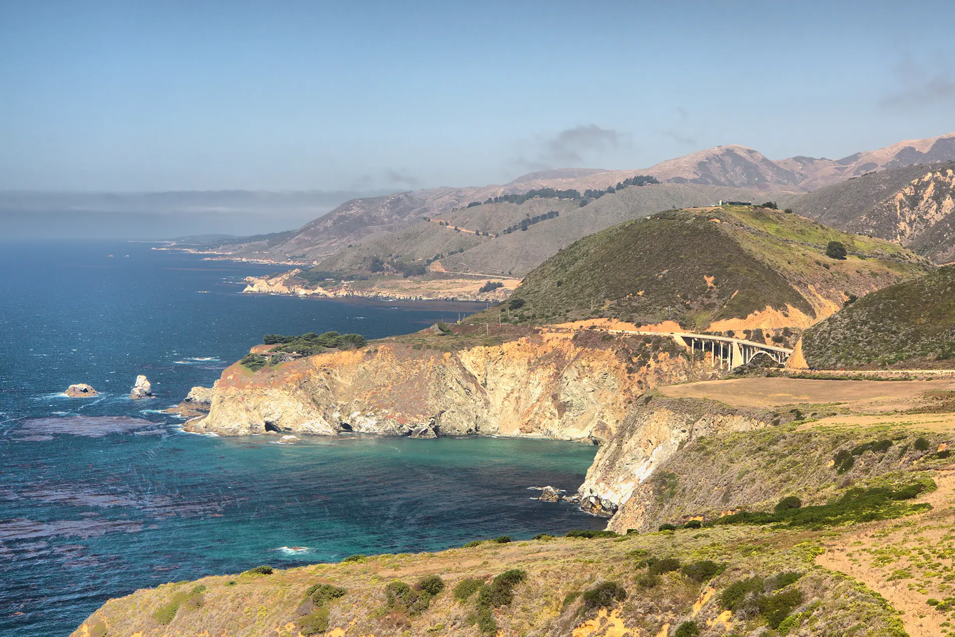 California cerebral palsy resources