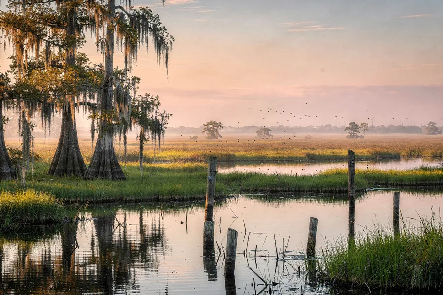 Louisiana cerebral palsy resources