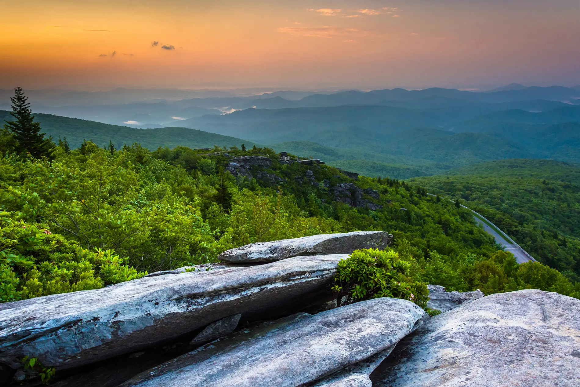 Charlotte cerebral palsy resources