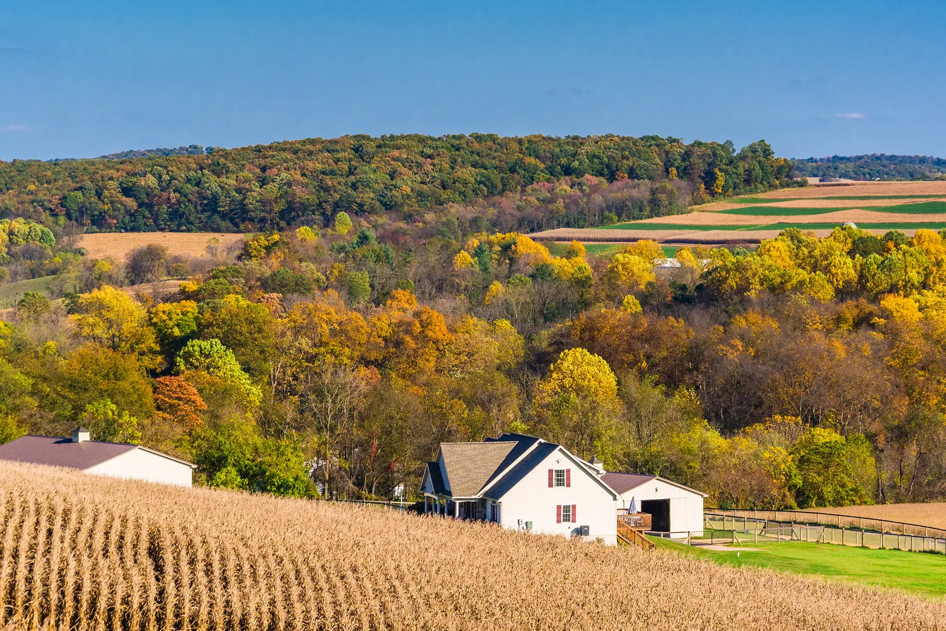 Pennsylvania cerebral palsy resources