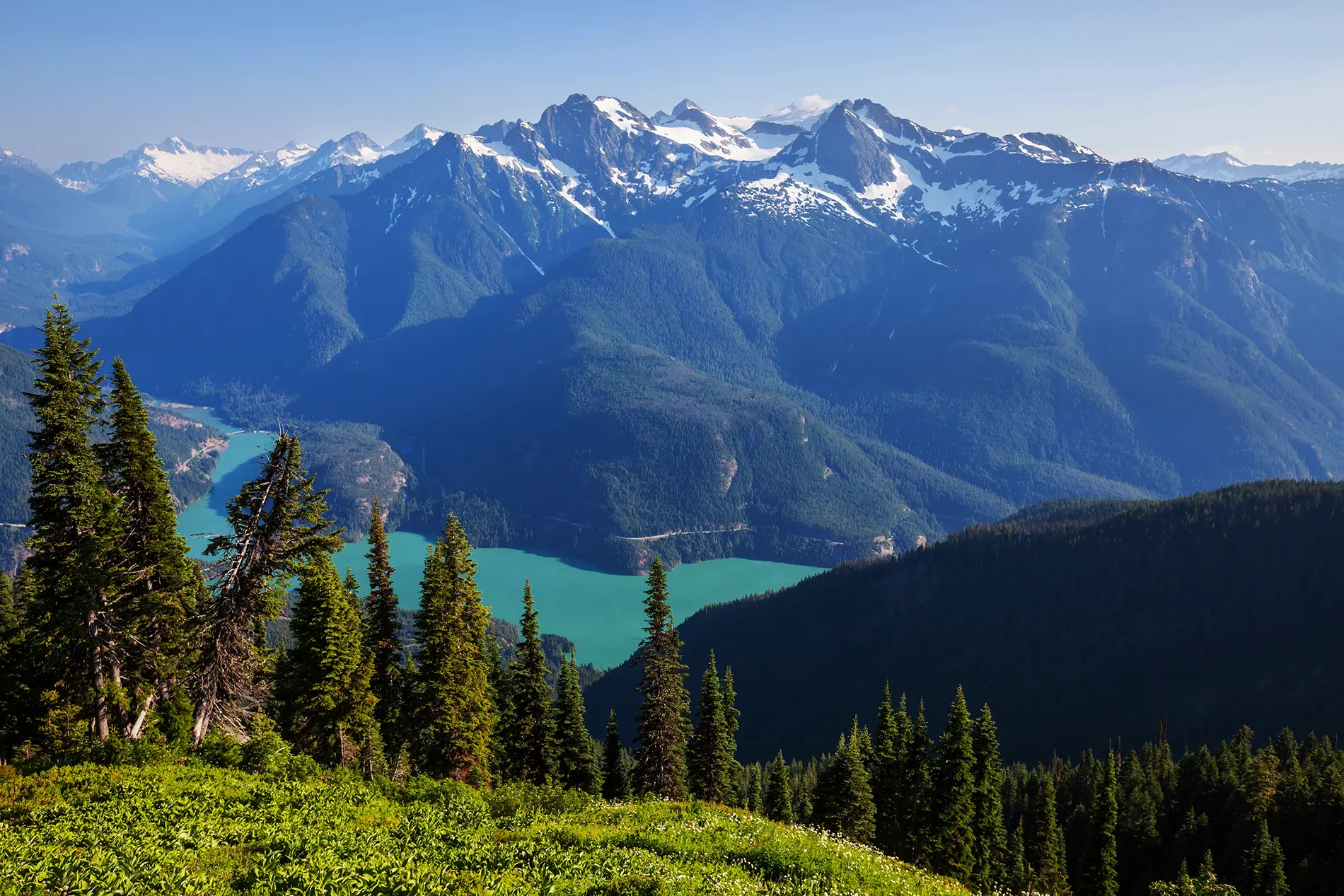 Washington cerebral palsy resources