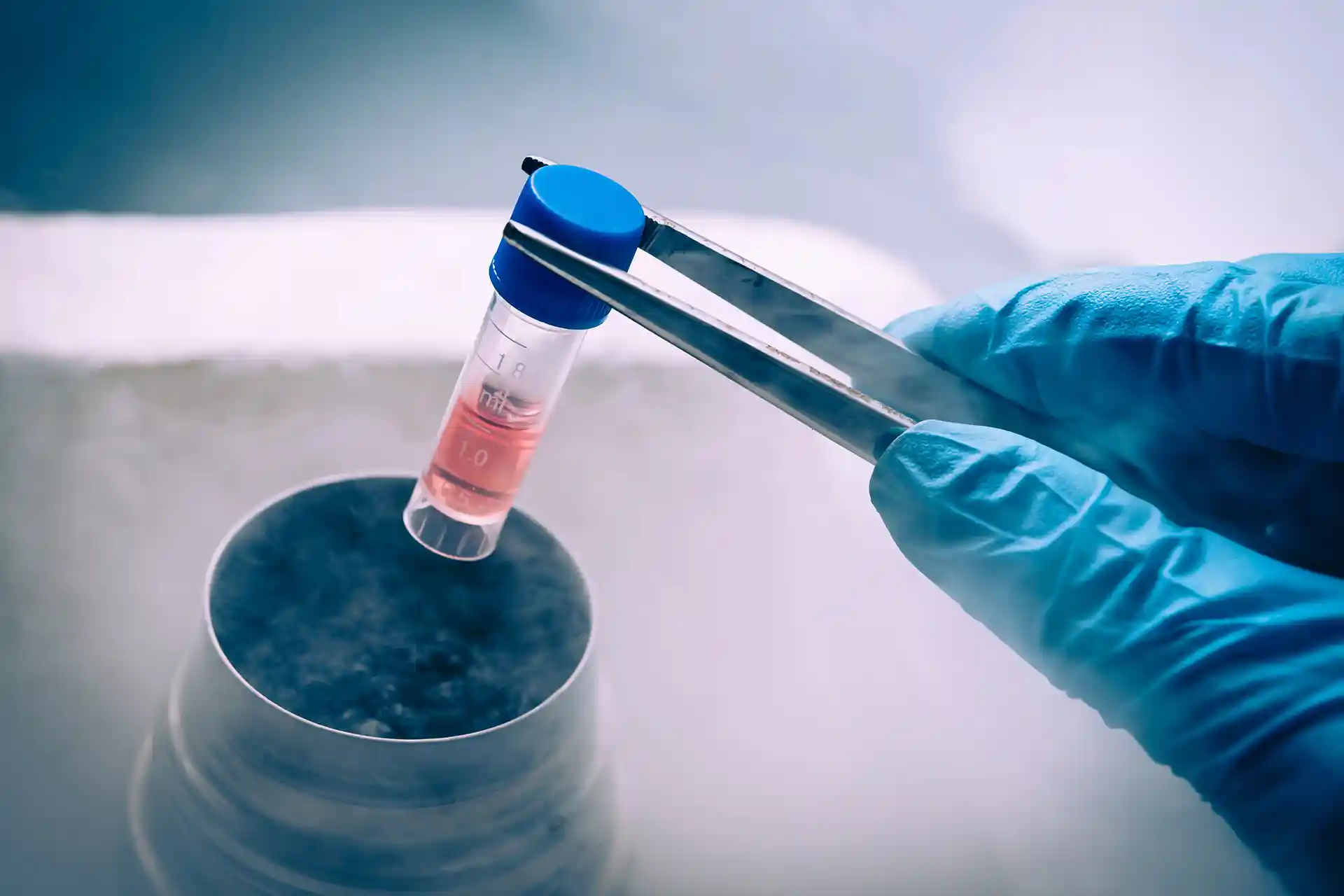 KIdswell launches effort to bring cerebral palsy stem cell therapy to US