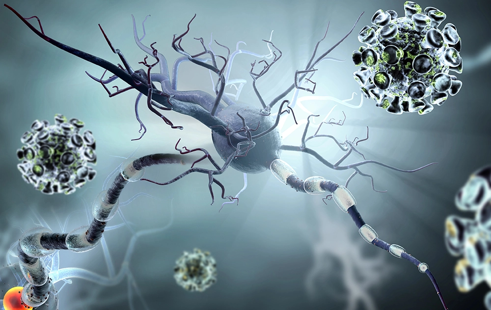 "Cord blood's anti‑inflammatory components and stem cells allowed the brain to heal itself." â€” Chris Schroeder, Esq