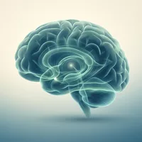 Deep Brain Stimulation for Dyskinetic Cerebral Palsy: Where the Evidence Stands